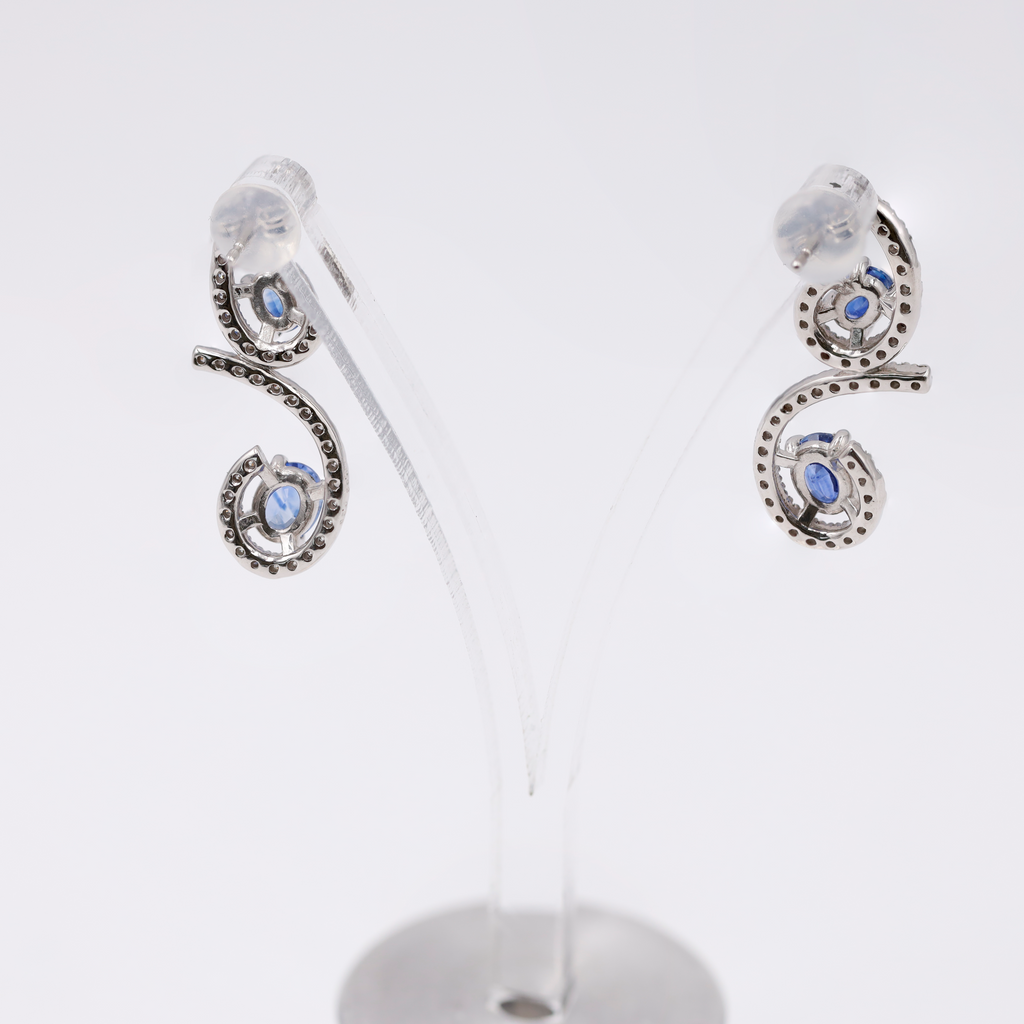 Jewelry- earrings