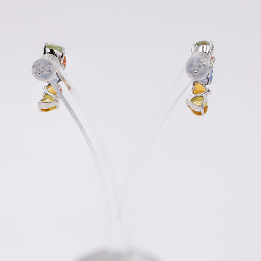 Jewelry -earrings