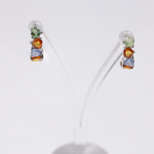 Jewelry -earrings