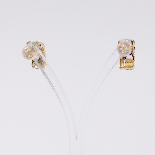Jewelry -earrings