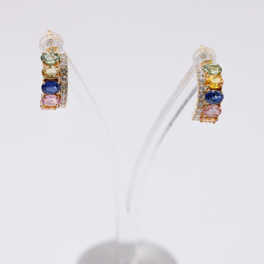Jewelry -earrings
